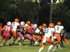 Enlarge photo 130
