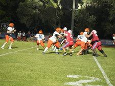 Enlarge photo 146