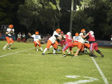 Enlarge photo 147