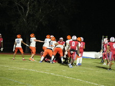 Enlarge photo 157