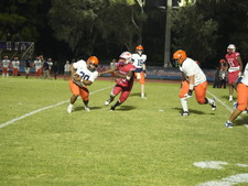 Enlarge photo 250
