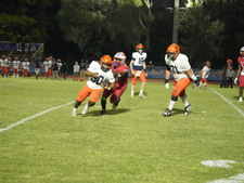 Enlarge photo 251