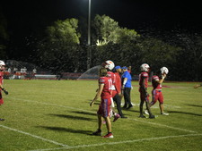 Enlarge photo 329