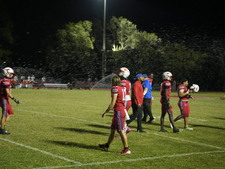 Enlarge photo 330