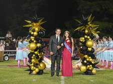 Enlarge photo 214