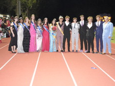 Enlarge photo 483