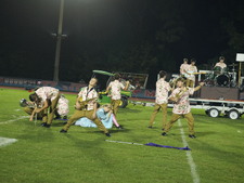 Enlarge photo 59