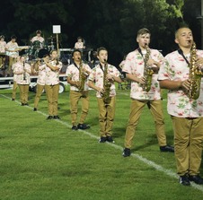Enlarge photo 277