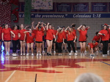 Enlarge photo 155