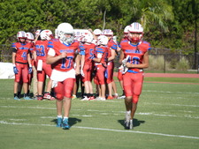Enlarge photo 45