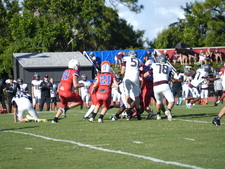 Enlarge photo 99