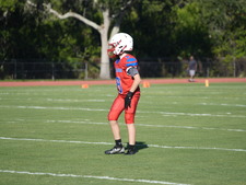 Enlarge photo 119