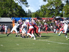 Enlarge photo 131