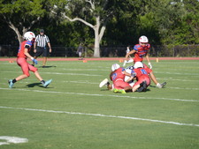 Enlarge photo 141