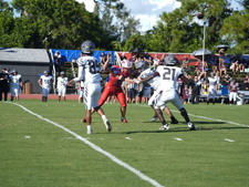 Enlarge photo 151