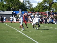 Enlarge photo 152