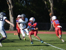 Enlarge photo 185