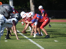 Enlarge photo 197
