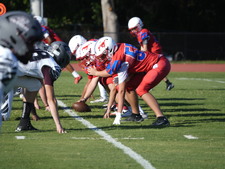 Enlarge photo 199