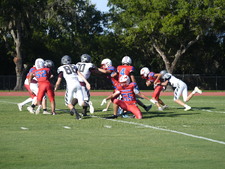 Enlarge photo 208