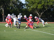 Enlarge photo 209