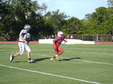 Enlarge photo 228