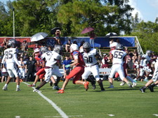 Enlarge photo 279