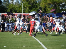 Enlarge photo 284