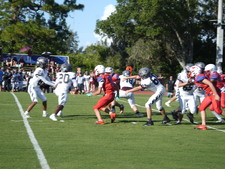 Enlarge photo 305