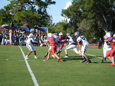 Enlarge photo 306