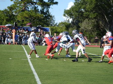 Enlarge photo 307