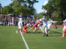 Enlarge photo 310