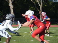 Enlarge photo 319