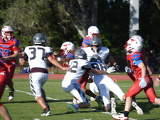 Enlarge photo 330