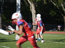 Enlarge photo 373
