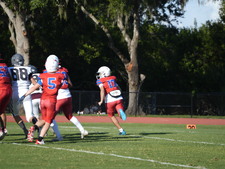 Enlarge photo 395