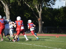 Enlarge photo 396