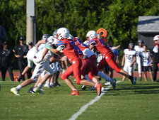 Enlarge photo 418