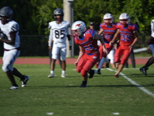 Enlarge photo 429
