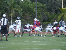 Enlarge photo 461