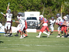 Enlarge photo 510