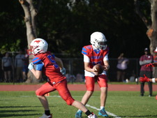 Enlarge photo 518