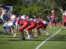 Enlarge photo 563