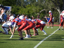 Enlarge photo 564
