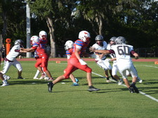Enlarge photo 583