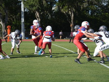 Enlarge photo 586