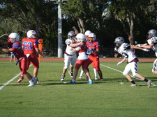Enlarge photo 592