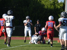 Enlarge photo 629
