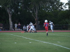 Enlarge photo 759