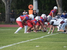Enlarge photo 778
